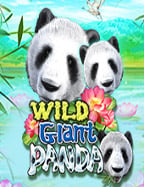 เว็บพนัน ฝากขั้น ต่ํา 10 บาท ทดลองเล่นสุดมันส์